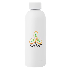 17 Oz. Blair Stainless Steel Bottle