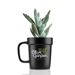 16 oz Planter Mug