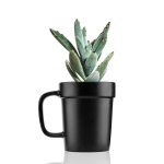 16 oz Planter Mug