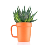 16 oz Planter Mug