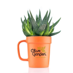 16 oz Planter Mug