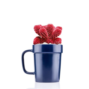 16 oz Planter Mug