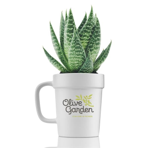 16 oz Planter Mug