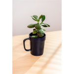 16 oz Planter Mug