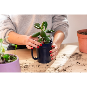 16 oz Planter Mug