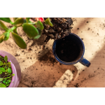 16 oz Planter Mug