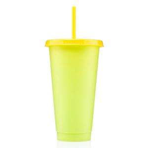 24 oz Chameleon Tumbler